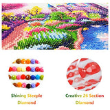 Ginfonr 5D DIY Mosaic Diamond Painting Kits Sunset Peach Blossom Full Drill, Paint with Diamonds Art Beach Landscape Cross Stitch Embroidery Rhinestone Craft for Home Office Wall Decor 12x16 Inch