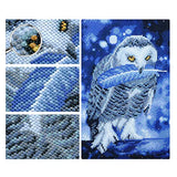 5D Full Drill Owl Diamond Painting Kits,DIY Round Diamond Rhinestone Embroidery Eagle Picture Arts Crafts for Home Office Wall Decor 11.8×15.8 Inch(Eagles 1)