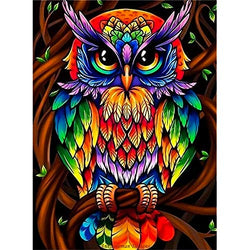 DIY 5D Diamond Painting Kits for Adults & Kids Colorful Owl Full Drill Round Diamond Crystal Gem Arts Painting Perfect for Home Wall Decor (12x16inch)