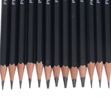 Mimgo Store Drawing and Sketching Graphite Pencil 12B 10B 8B 7B 6B 5B 4B 3B 2B 1B 2H HB 14Pcs