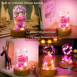 SWEETIME Enchanted Rose Lamp with Bluetooth Speaker, Real Flower LED Night Light, Preserved Pink