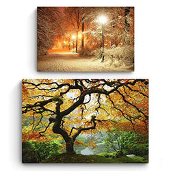 Startonight Canvas Wall Art | Nature | Maple Tree and Winter in Park | Buy one Get Two | Bundle Offer | Modern Home Decoration | Ready to Hang Paintings