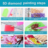 SEMSOIIO DIY 5D Diamond Painting Kits Full Drill Round Crystal Rhinestone Gem Diamond Art Painting (12" x 12")