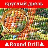DIY Full Diamond Painting Cross Stitch kit for Adults Home Decoration Red Apples