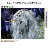 DIY 5D Diamond Painting Kit, Unicorn Crystal Embroidery Cross Stitch Arts Craft Supply for Living Room Wall Decor 11.8 x 15.8 inch