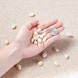 Pandahall 120~150pcs/box White Natural Spiral Shell Beads Sea Shells Beach Seashells Cowrie