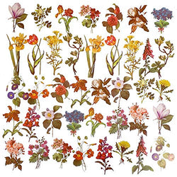 Vintage Flowers Plants Stickers - Doraking 40PCS Peel-Off DIY Decoration PET Paper Flowers and Plants Scrapbook Stickers for Scrapbook (Flower Collection)