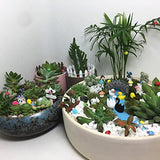 100 Pieces Miniatur Garden Ornament Kit Set for DIY Fairy Garden Mini Bonsai Dollhouse Decoration(Garden Style)