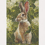 DIY Diamond Painting Full Drill Crystal Rhinestone Embroidery Cross Stitch Arts Craft Canvas Wall Decor Rabbit 11.8x15.7Inch