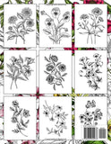Relaxing Flowers: Bloom Adult Coloring Book for Women: Over 50 Prints of Beautiful Calming flowers | Beautiful Coolest Flower Garden and Botanical ... & Anxiety Relief Nature and Plants to Color