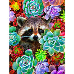 DIY 5D Diamond Painting Kits for Adult Kids，eniref Diamond Art Full Drill 5D Diamond Painting Kit Colorful Succulents Plants,Diamond Painting Cute Raccoon Home Decor 11.8X15.7 inch