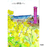 Fils watercolor set 14 color set (japan import) by Kuretake
