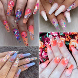 12 Colors Butterfly Glitter Nail Sequins - 3D Nail Art Flakes Colorful Confetti Glitter Sticker Decals Manicure Nail Art Design Makeup DIY Decoration