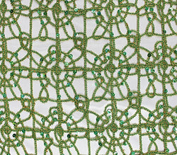 Sequin Fabric Sun Lace 54" Wide Sold By The Yard (GREEN)