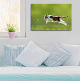 wall26 - Canvas Wall Art - A Kitty Chasing a Butterfly - Giclee Print Gallery Wrap Modern Home Decor Ready to Hang - 32" x 48"