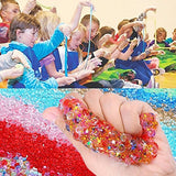 DIY Slime Kit Supplies - Fluffy Slime and Clear Crystal Slime, Include Foam Balls, Fishbowl Beads, 24pcs Glitter Jars, Fruit Flower Candy Slices for Kids and Adults Slime Making (46pack Slime Kit)