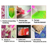 Fipart Mobicus 5D DIY Diamond Painting Cross Stitch Craft Kit Wall Stickers for Living Room Decoration(12x20inch30x50CM) Rose