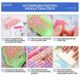 DIY 5D Diamond Painting Balloon Girl by Number Kits, Beautiful Balloon Girl Round Full Drill Diamond Art Kits for Adults, Balloon Girl Diamond Painting Kits for Home Wall Art Decor (15.75*11.81in)