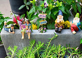 Twig & Flower The Miniature Garden Fairy & Gnome Sign