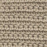 Caron One Pound Yarn - 2 Pack with Pattern Cards in Color (Taupe)