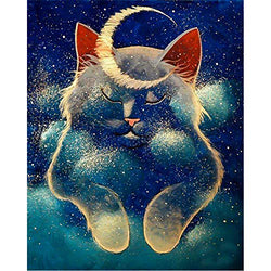 DIY 5D Diamond Painting Kits for Adults & Kids Moon Cat Full Drill Round Diamond Crystal Gem Art Painting Perfect for Home Wall Decor Gift (12x16inch)