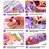 5D DIY Diamond Painting Kits for Adults Paint by Numbers Full Drills Rhinestone Embroidery Cross Stitch (Umbrella, 3040cm)