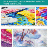 Full Drill 5D DIY Diamond Painting Cartoon Sponge-B-o-b Round Crystal Rhinestone Diamond Arts Craft with Tools for Kids Adult 16'' x 12''