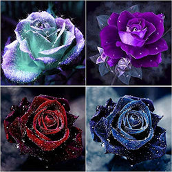 4 Pack 5D DIY Diamond Painting by Numbers Diamond Art Kits,Roses Full Drill for Adults Kids Gifts for Home Wall Decor,Beautiful Rose Flower 11.8×11.8in