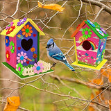 Oceanblues DIY Bird House Kit, Kids Crafts Wood Arts Build and Paint Own Bird Feeder Includes 2 Packs Wood Building, Brushes and Accessories, Educational Toys for Boys and Girls