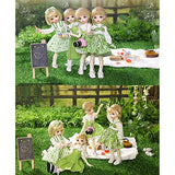 Full Set 1/6 BJD Doll 27cm 10.6in Ball Jointed SD Doll with Green Dress + Shoes + Socks + Wigs + Makeup Face, Best Gift for Girls