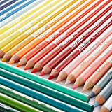 Prismacolor Scholar Colored Pencils, 48 Pack and Tattoo Adult Coloring Book