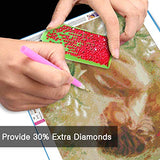 DIY 5D Diamond Painting,Diamond Art Kits for Adults and Kids,Flower Girl Diamond Paintings Full Drill Round Gem Art Craft Perfet for Gift and Home Wall Decor,Easy for Beginners 12x16inch