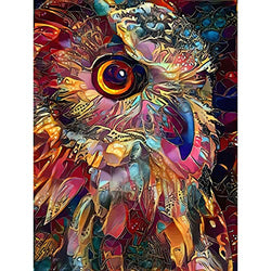 5D DIY Diamond Painting Kits for Adults, Kids Colorful Owl Full Drill Round Crystal Rhinestone Embroidery Arts Craft Abstract Birds Portrait Picture Wall Decor Gift 12x16 inch(Without Frame)