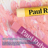Paul Rubens Art Supplies Oil Pastels, 26 Pastels Colors Artist Soft Oil Pastels Vibrant and Creamy, for Artists Beginners Students Painting Drawing