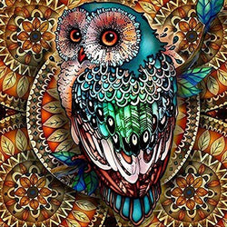 Full Drill Round Crystal Diamond Embroidery Painting Kit, BENBO DIY 5D Owl Diamond Paint by Number Kits Cross Stitch Rhinestone Arts Home Decor Craft, 15.8In X 15.8In