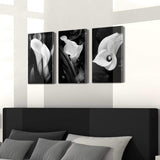 Floral Artwork Nature Flower Picture: Calla-Lily Print on Canvas Set for Wall Art