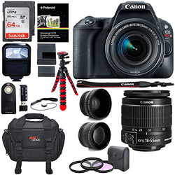 Canon EOS Rebel SL2 DSLR Camera with EF-S 18-55mm STM Lens, Sandisk 64GB Memory Card, Telephoto,