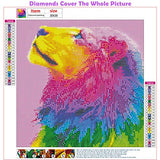 DIY 5D Diamond Painting Kits for Adults & Kids Colorful Lion Full Drill Diamond Arts Painting Perfect for Home Wall Decor (12x12inch)