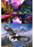 2-Pack 5d Full Drill Diamond Art Painting Kits for Adults Kids for Office Home Wall Decor Forest & Flying Eagle, 12x16 Inches