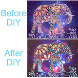 5D DIY Special Shaped Diamond Painting Kit, 18.5X 14.5 Inch Crystal Rhinestone Diamond Embroidery Paintings Pictures Arts Craft for Home Wall Decor