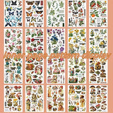Washi Stickers Set Vintage Stickers Aesthetic Stickers for Journaling Kawaii Stickers korean Stickers Scrapbooking Supplies Lady Plant Animal Retro Scene for DIY Diary Planner Laptop Bottle Envelope Album Book Stickers 60 Sheets 3 Boxes 600Pcs
