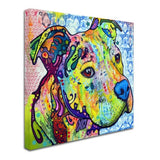 Thoughtful Pit Bull III Artwork by Dean Russo, 24 by 24-Inch Canvas Wall Art