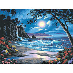 5D Diamond Painting kit, Night Beach View Adults' Paint-By-Number Kits,Painting Cross Stitch Full Drill Crystal Rhinestone Embroidery Pictures Arts Craft for Home Wall Decor Gift.(11.8'15.7"Inchs) (F)