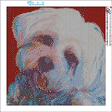 Zimal Maltese Dogs Diamond Embroidery Flower 5D DIY Diamond Painting Paket Full Round Drill Rhinestone 11.8 X 11.8 Inch