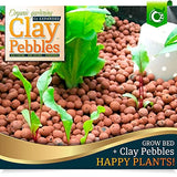 Organic Expanded Clay Pebbles Grow Media - Orchids • Hydroponics • Aquaponics • Aquaculture Cz Garden (4 LBS Organic Cz Garden Expanded Clay Pellets)