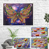 MXJSUA DIY 5D Special Shape Diamond Painting by Number Kit Crystal Rhinestone Round Drill Art Craft Home Wall Decor 12X16In Colored Butterfly
