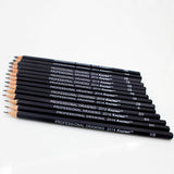gloednApple Set Of 14 Sketching Pencil Professinal Graphic Drawing Pencils 6H-12B