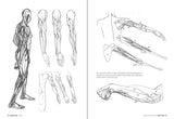 Morpho: Anatomy for Artists