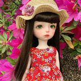 HMANE BJD Dolls Clothes 1/6, Red Floral Dress Clothes for 1/6 BJD Dolls - Hat not Included (No Doll)