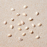 Pandahall 120~150pcs/box White Natural Spiral Shell Beads Sea Shells Beach Seashells Cowrie